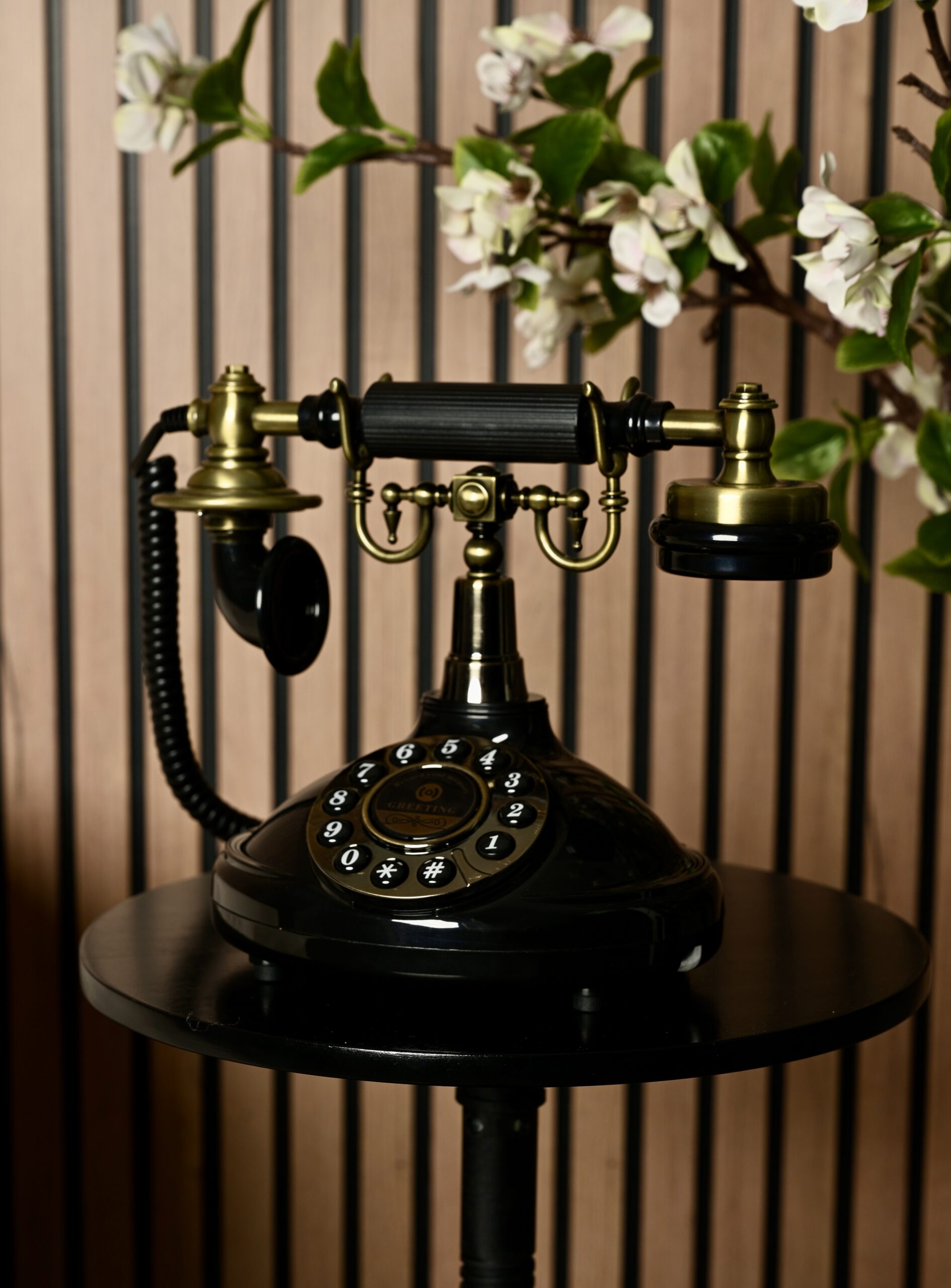 Audio Book Image 2